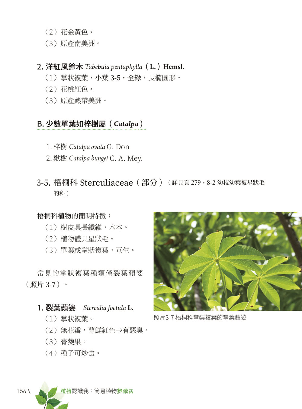 植物認識我：簡易植物辨識法