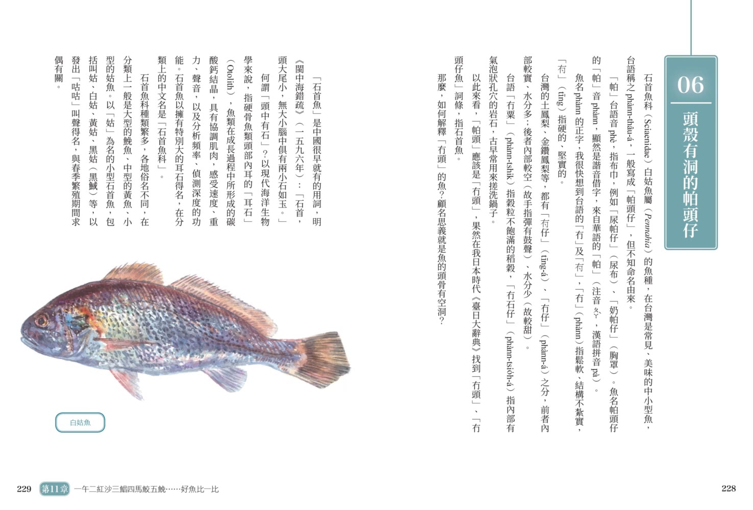 一午二紅沙，三鯧四馬鮫：台灣海產的身世
