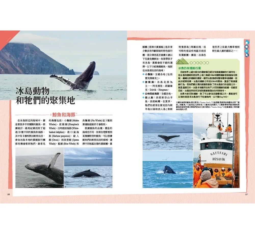 冰島深度之旅：當地最大旅行網站專欄作家的超詳盡景點攻略（新第二版）