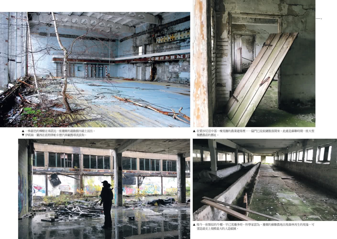 遺棄之島：得獎記者挺進戰地、災區、棄城等破敗之地，探索大自然的驚人復原力