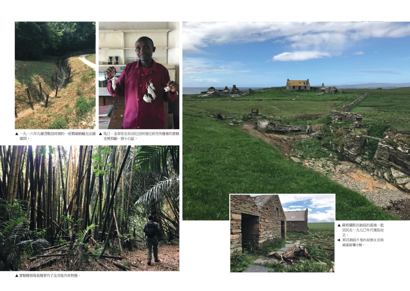 遺棄之島：得獎記者挺進戰地、災區、棄城等破敗之地，探索大自然的驚人復原力