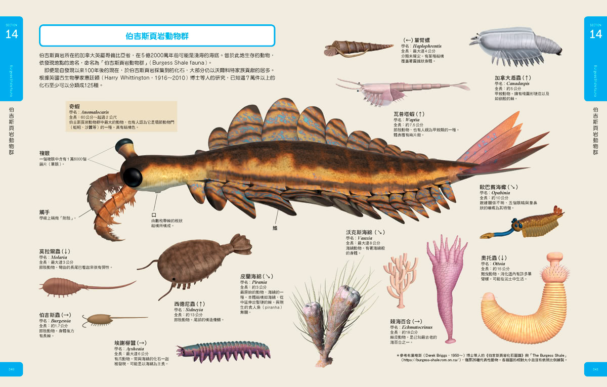 古生物大圖鑑：伽利略科學大圖鑑15(伽利略科學大圖鑑)