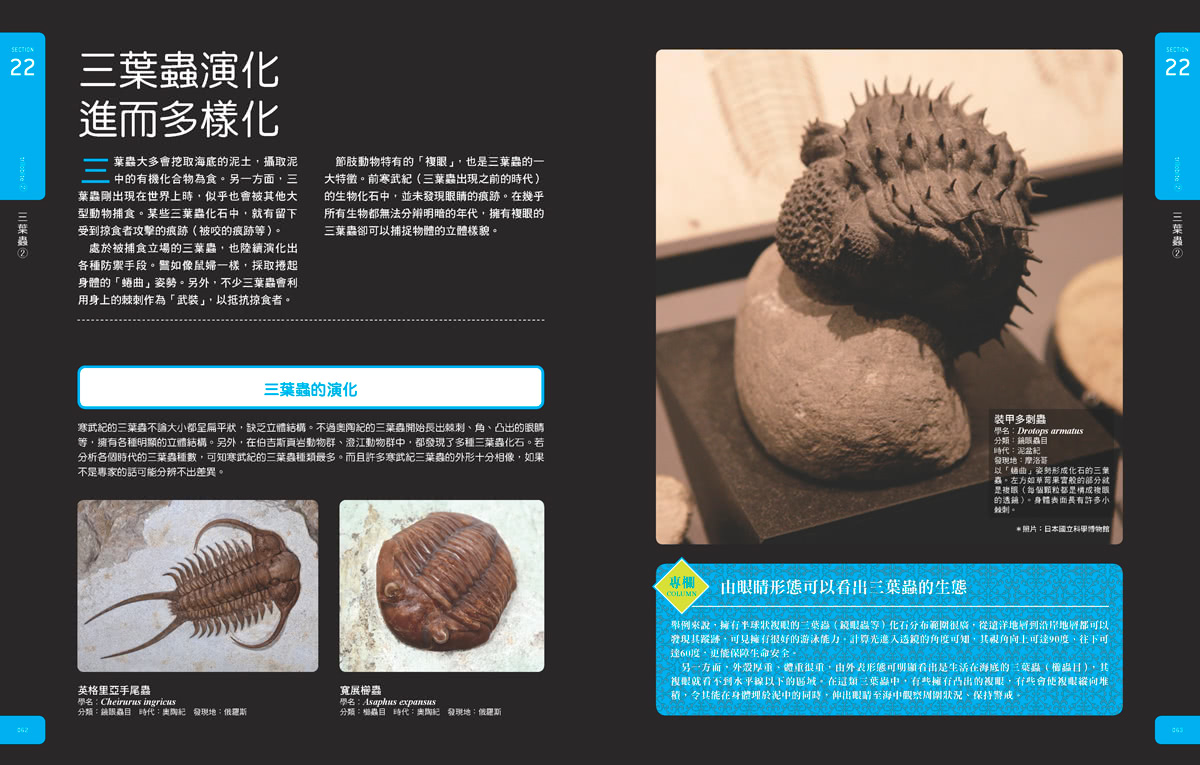 古生物大圖鑑：伽利略科學大圖鑑15(伽利略科學大圖鑑)