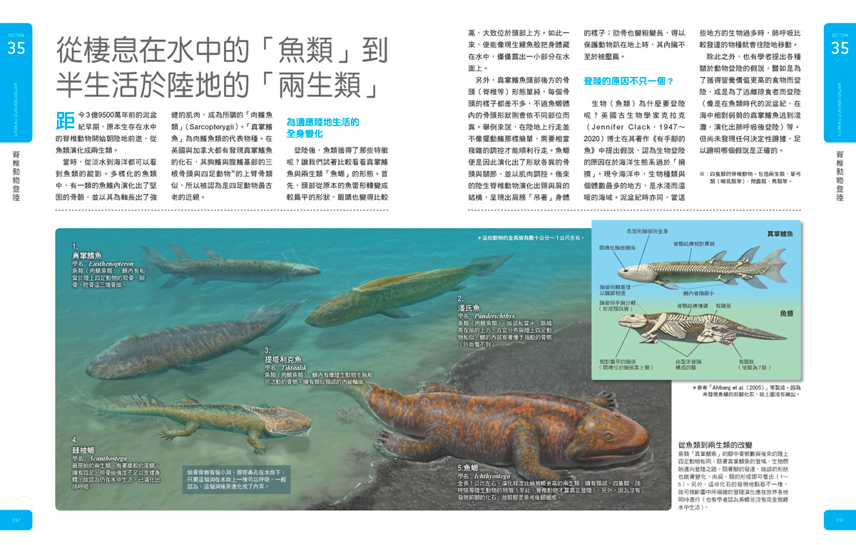 古生物大圖鑑：伽利略科學大圖鑑15(伽利略科學大圖鑑)