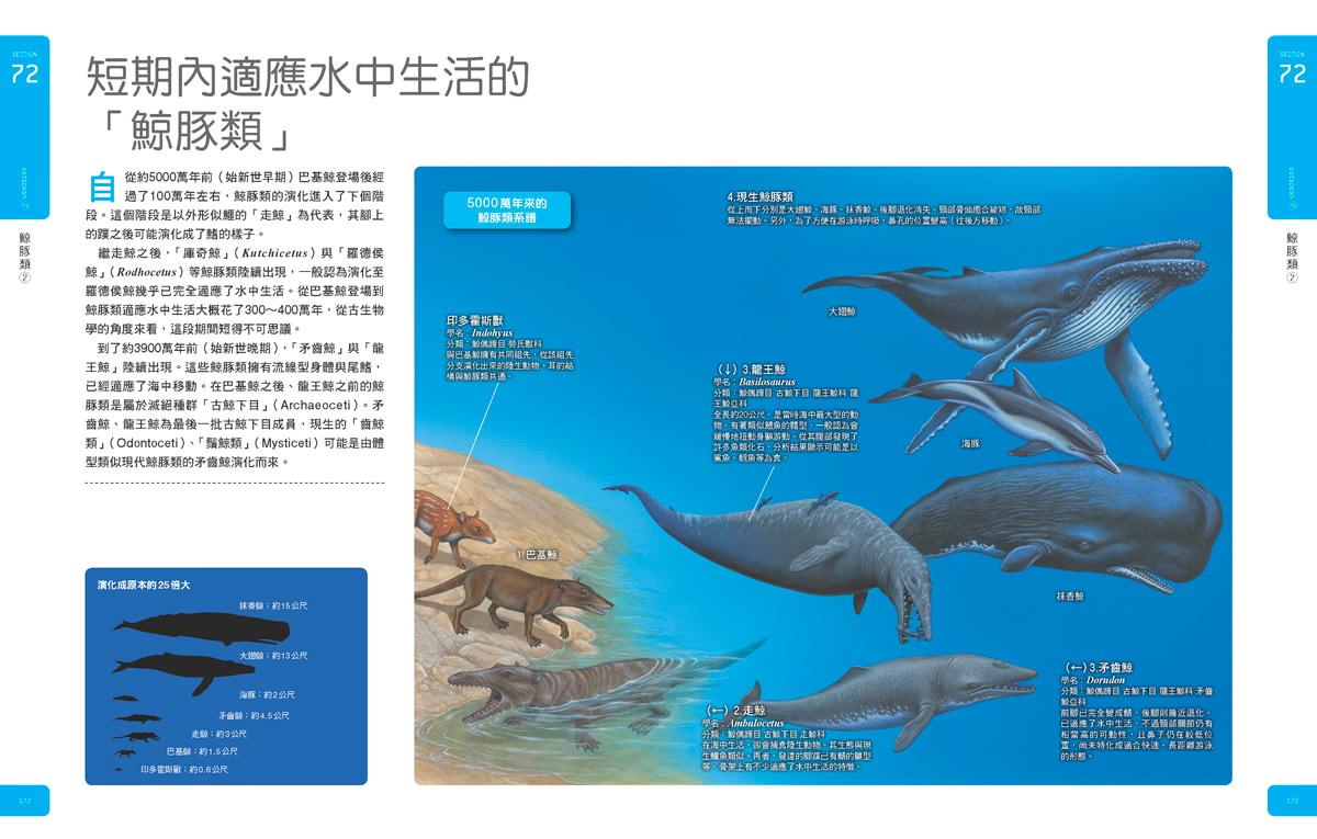 古生物大圖鑑：伽利略科學大圖鑑15(伽利略科學大圖鑑)