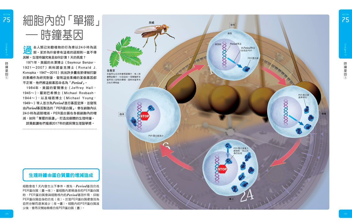 時間大圖鑑：伽利略科學大圖鑑14(伽利略科學大圖鑑)