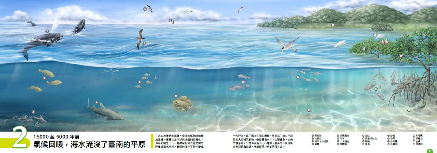 與土地共舞：發掘臺南人文與環境的古今事