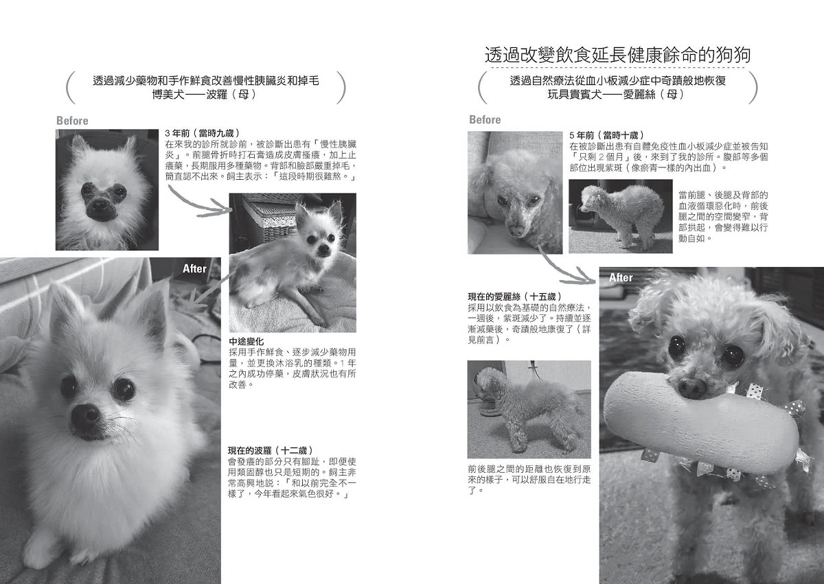 狗家長必備！愛犬一生健康手冊：從「醫、食、住」三方面 和狗狗快樂生活的祕訣