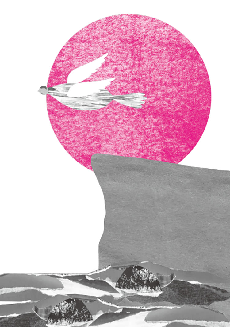 茶室女人心：萬華紅燈區的故事