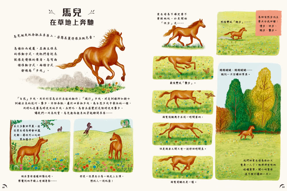 慢下來看世界：給孩子50趟有趣的自然之旅