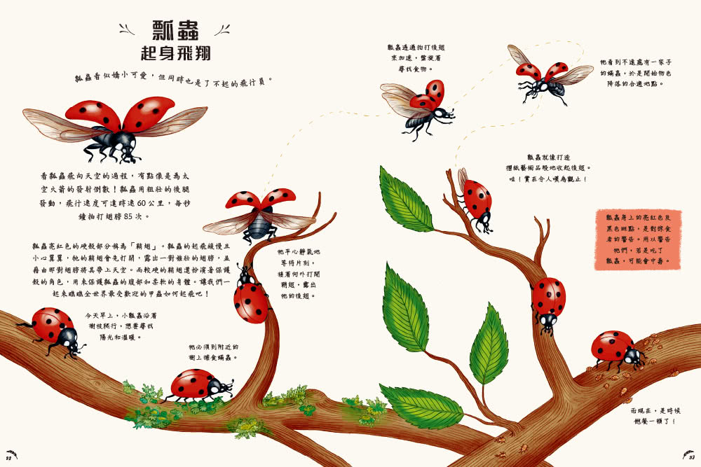 慢下來看世界：給孩子50趟有趣的自然之旅