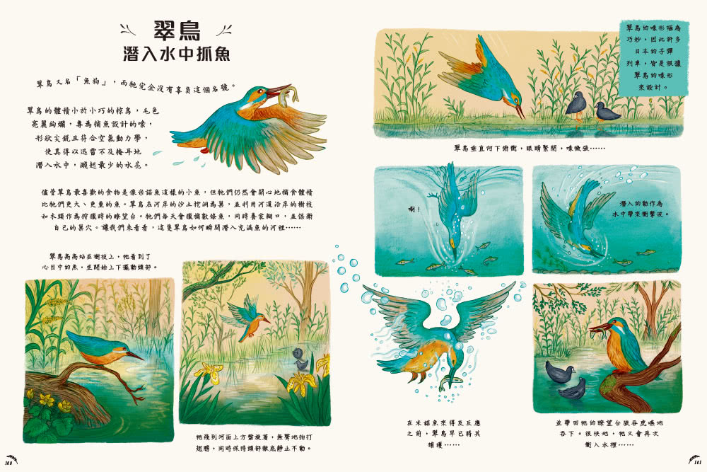 慢下來看世界：給孩子50趟有趣的自然之旅