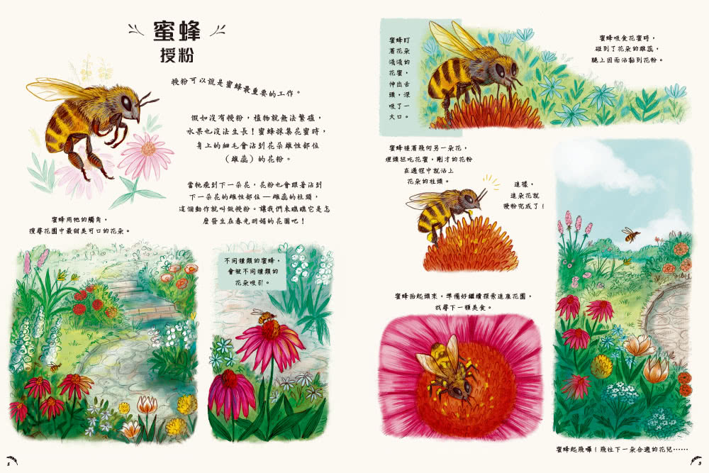 慢下來看世界：給孩子50趟有趣的自然之旅