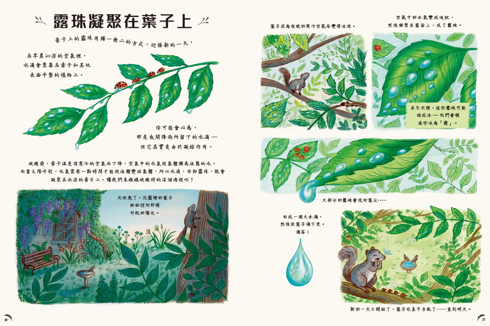 慢下來看世界：給孩子50趟有趣的自然之旅