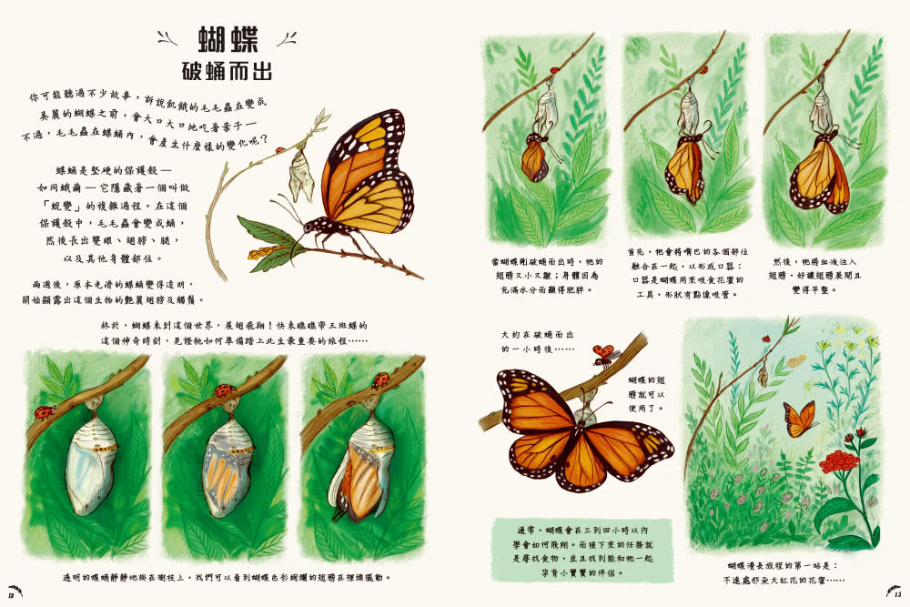 慢下來看世界：給孩子50趟有趣的自然之旅