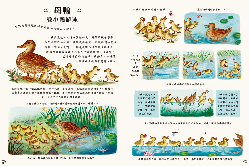 慢下來看世界：給孩子50趟有趣的自然之旅