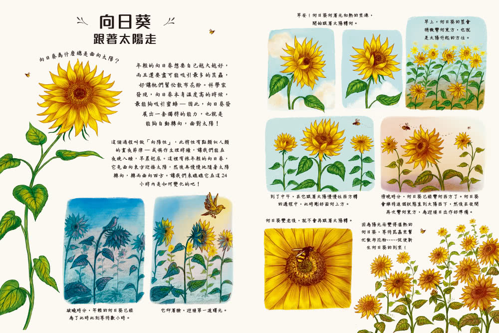 慢下來看世界：給孩子50趟有趣的自然之旅