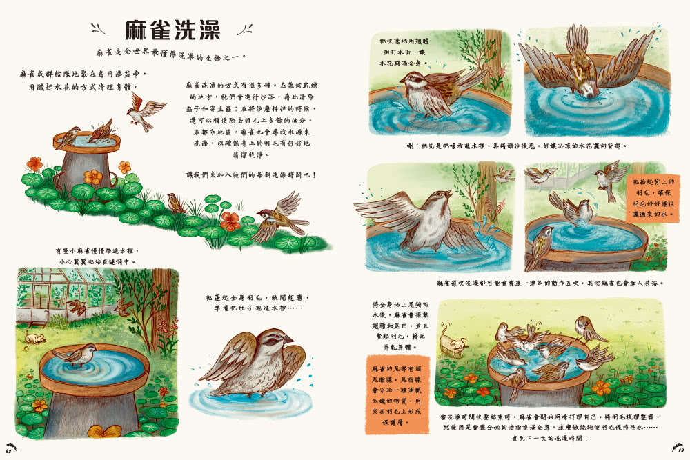 慢下來看世界：給孩子50趟有趣的自然之旅