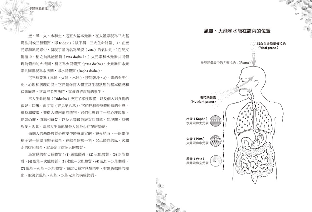 阿育吠陀原理（二版）：自我修復的科學