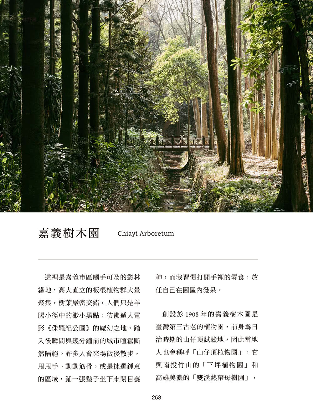 裏嘉義:從藝文空間、巷弄小吃到山海風景 走進在地人眼中的生活角落