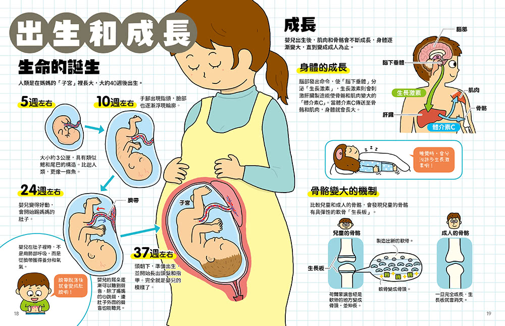 怦怦！怦怦！聽聽身體的祕密：打開耳朵 探索人體的構造和運作機制