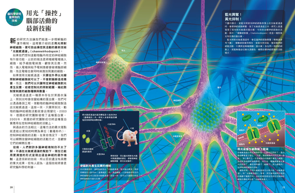 圖解腦科學：解析腦的運作機制與相關疾病  人人伽利略23