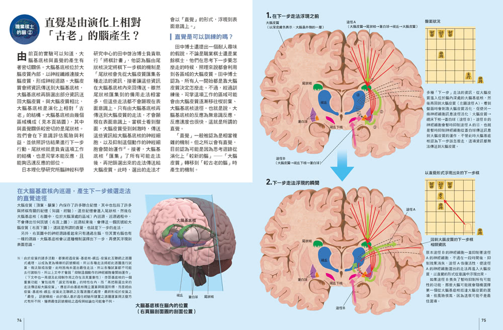 圖解腦科學：解析腦的運作機制與相關疾病  人人伽利略23