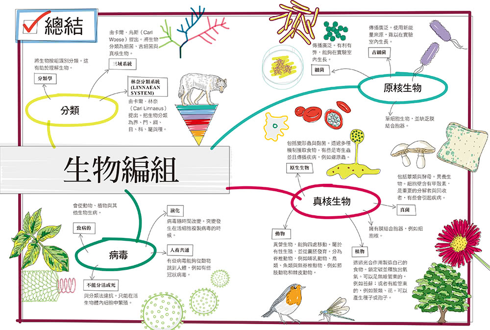 真希望基礎生物這樣教：國高中生必備！看圖學生物，從細胞、遺傳學、物競天擇到生物學