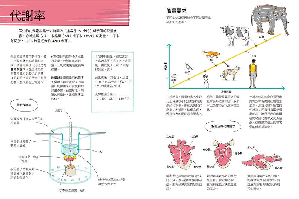 真希望基礎生物這樣教：國高中生必備！看圖學生物，從細胞、遺傳學、物競天擇到生物學