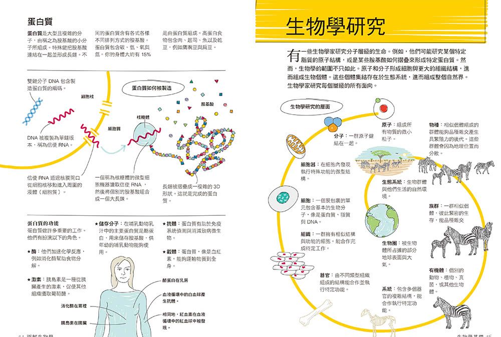 真希望基礎生物這樣教：國高中生必備！看圖學生物，從細胞、遺傳學、物競天擇到生物學