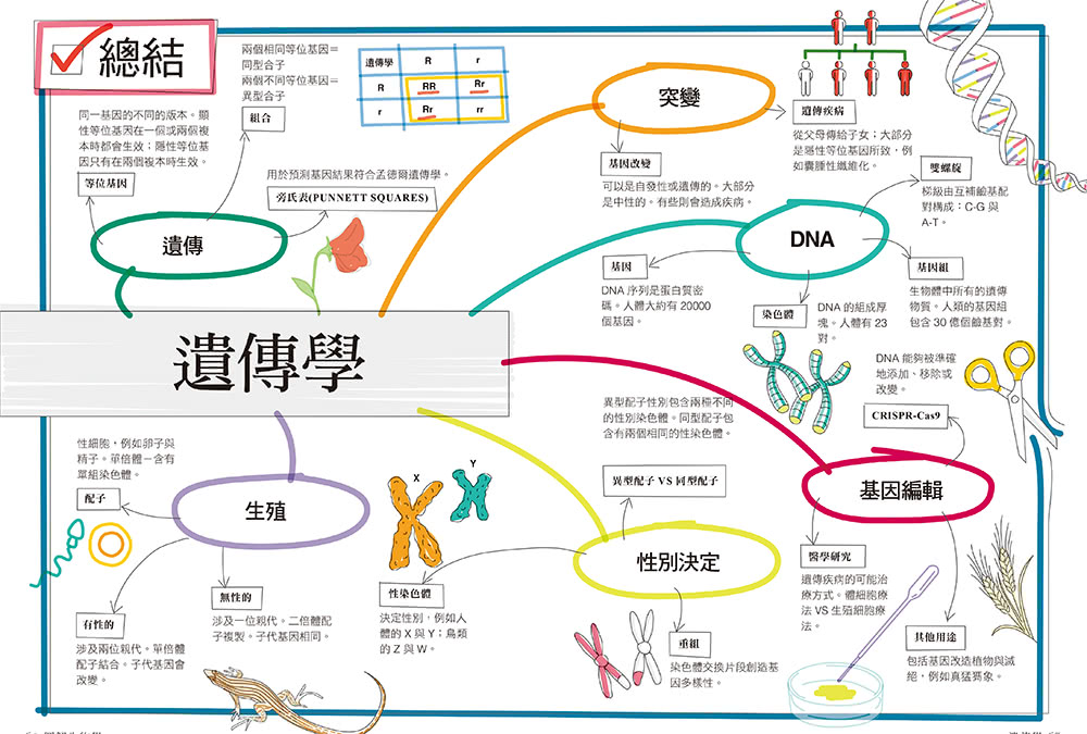 真希望基礎生物這樣教：國高中生必備！看圖學生物，從細胞、遺傳學、物競天擇到生物學