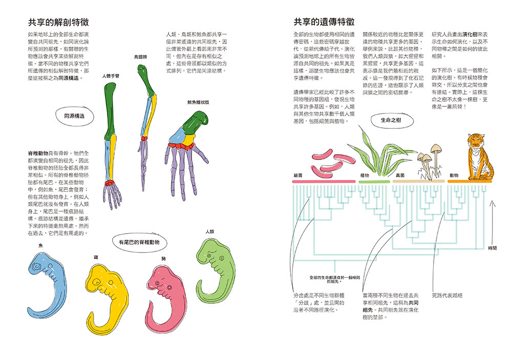 真希望基礎生物這樣教：國高中生必備！看圖學生物，從細胞、遺傳學、物競天擇到生物學