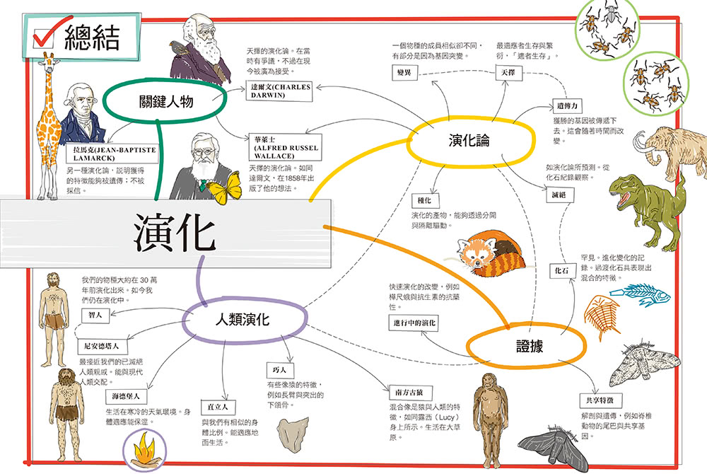 真希望基礎生物這樣教：國高中生必備！看圖學生物，從細胞、遺傳學、物競天擇到生物學