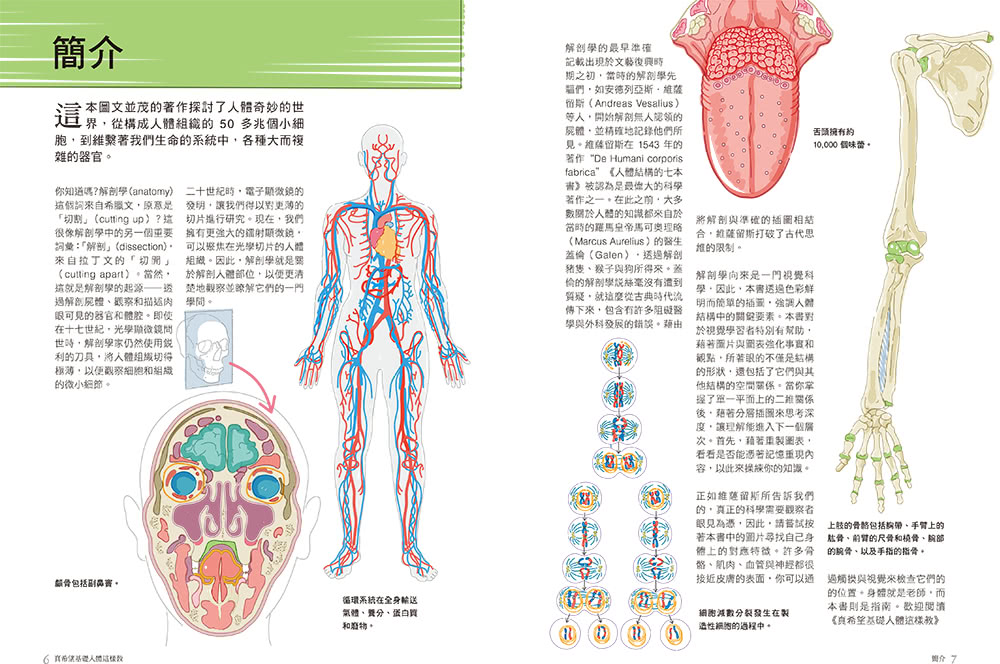 真希望基礎人體這樣教：國高中生必備！看圖學人體，從骨骼關節、神經系統到循環與內分泌