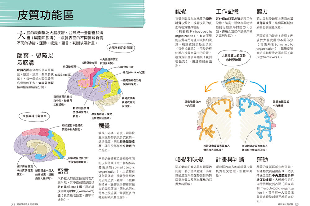 真希望基礎人體這樣教：國高中生必備！看圖學人體，從骨骼關節、神經系統到循環與內分泌