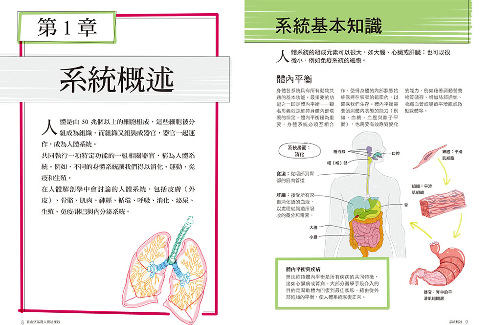真希望基礎人體這樣教：國高中生必備！看圖學人體，從骨骼關節、神經系統到循環與內分泌