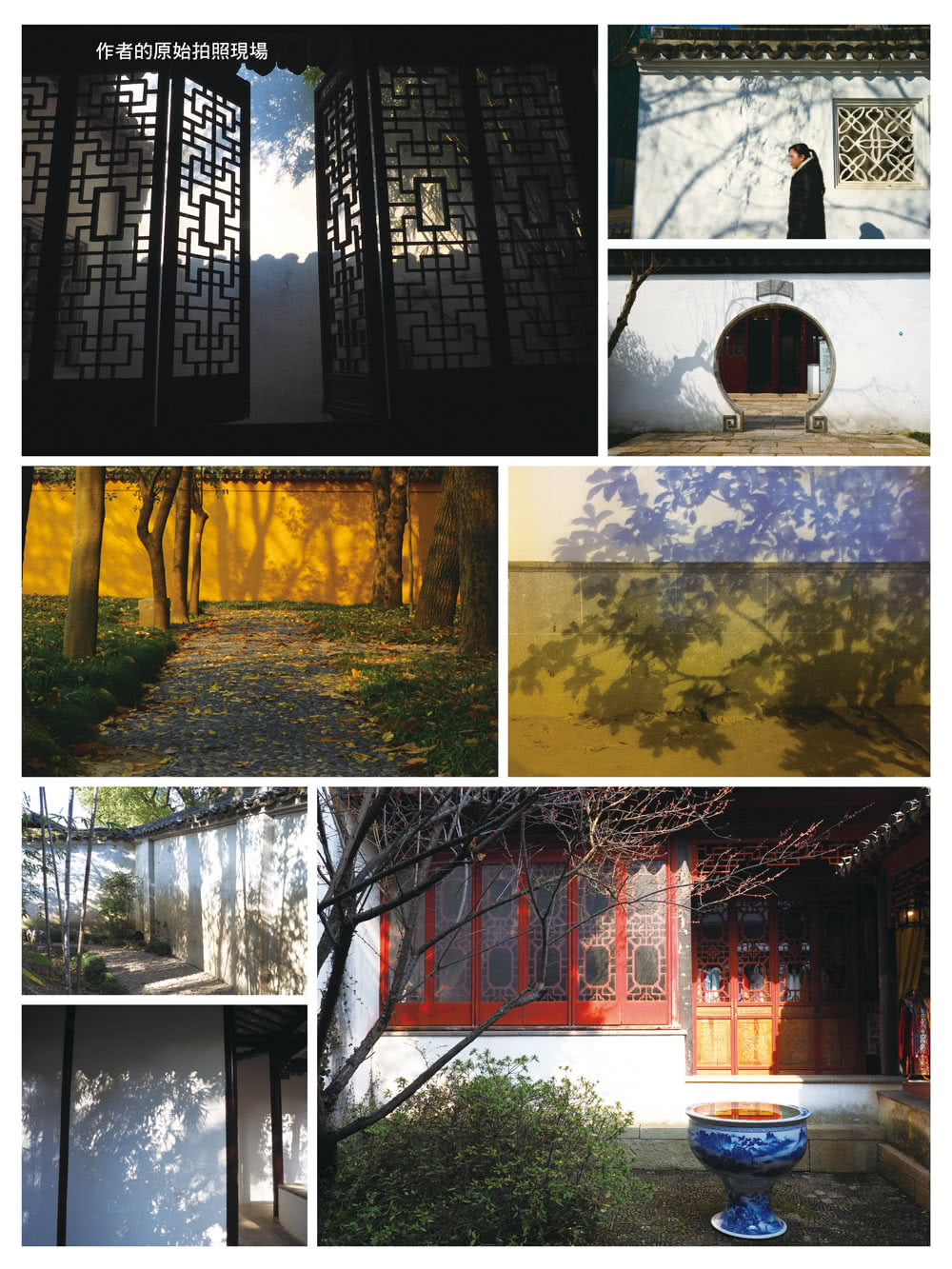 花影集：中國古典美學攝影（2010—2022）