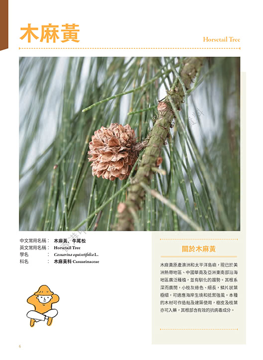 香港四季色：身邊的植物學（秋）