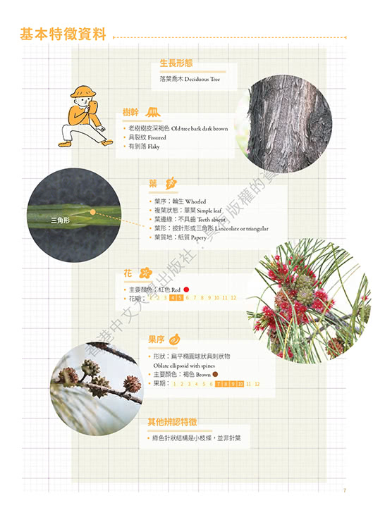 香港四季色：身邊的植物學（秋）