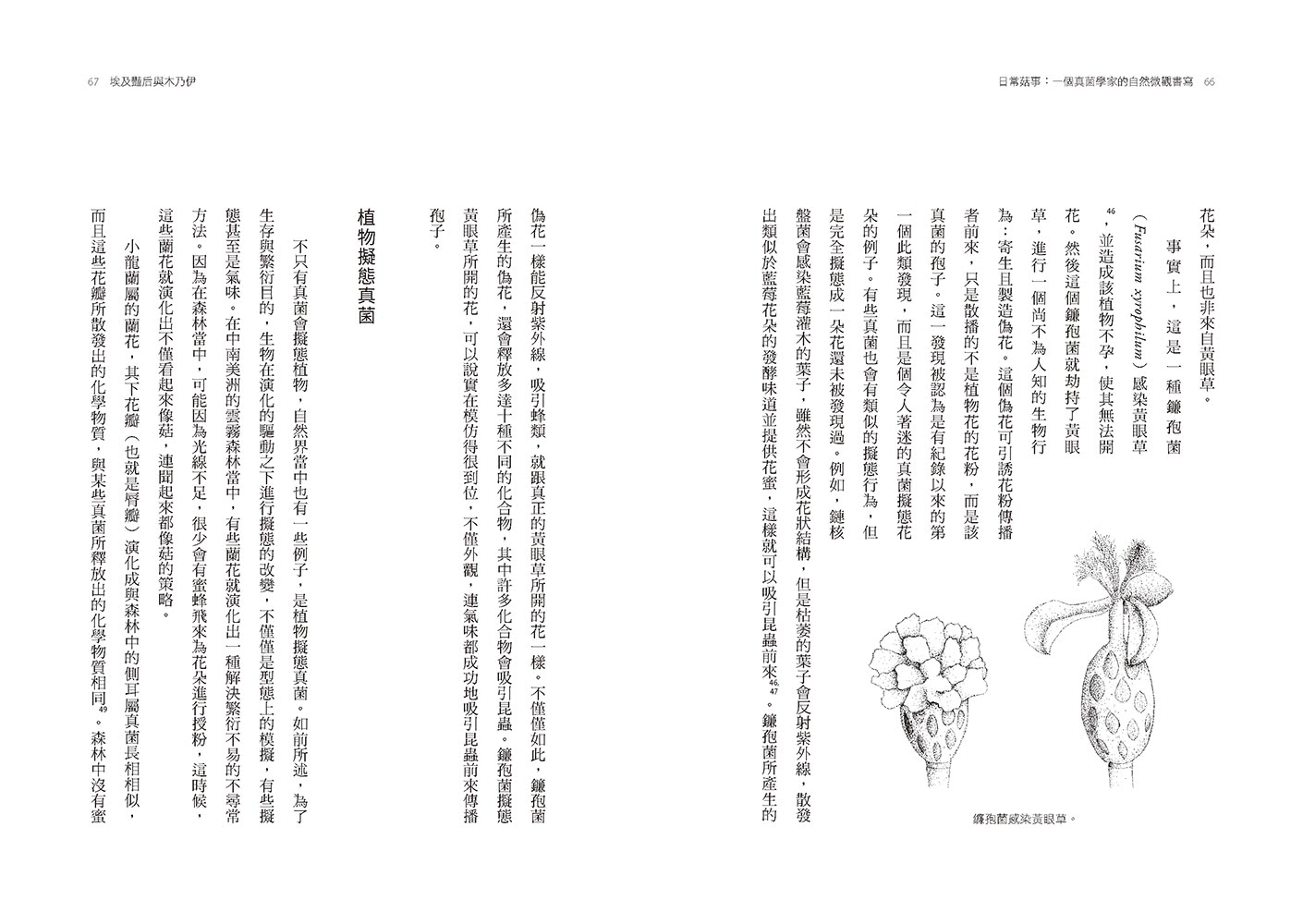 日常菇事：一個真菌學家的自然微觀書寫（首刷隨書附贈真菌書籤2款）