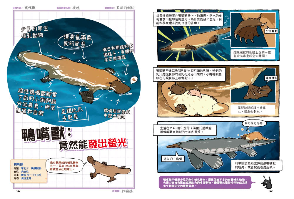 漫畫動物冷知識王：趣味怪奇探險筆記