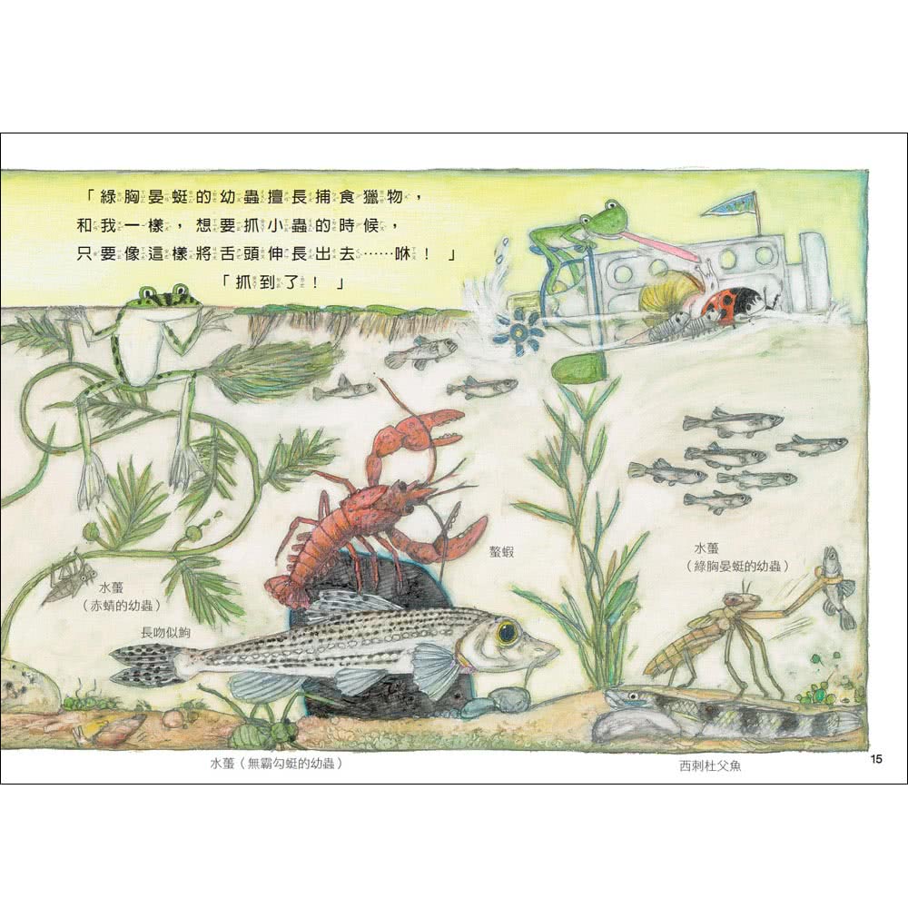 松岡達英雨蛙生態旅行團全集（4冊）