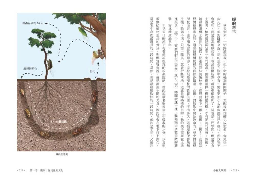 小蟲大哉問：自然生態的科學探察與人文思考