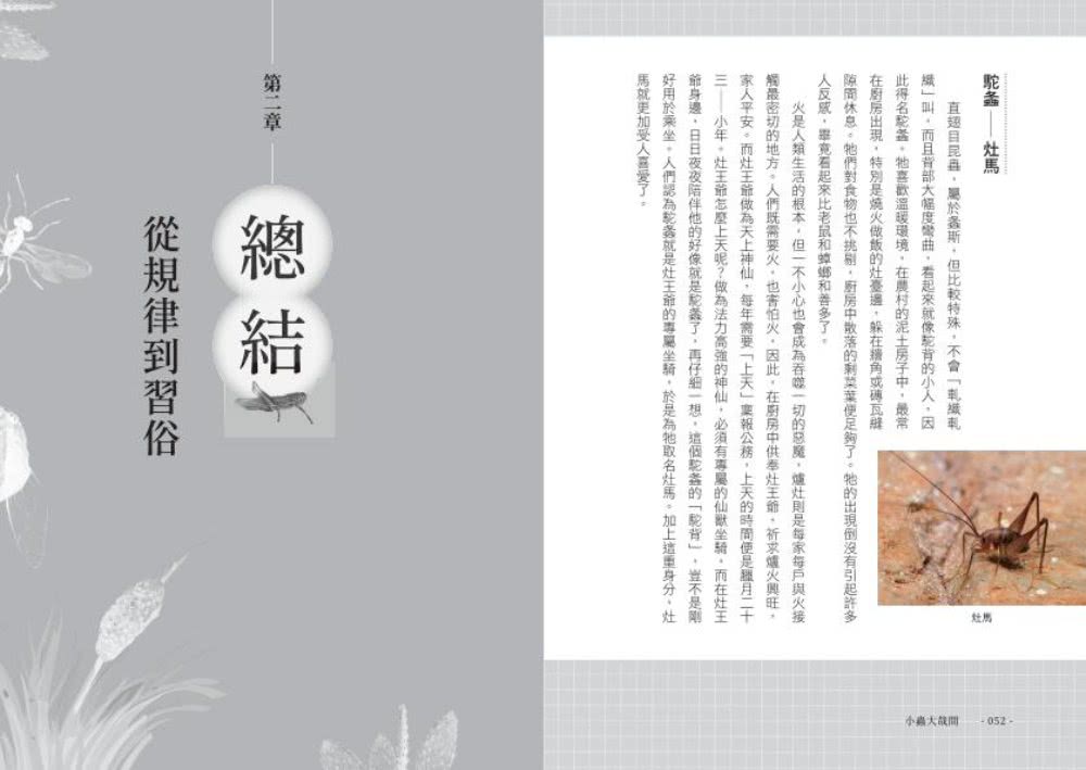 小蟲大哉問：自然生態的科學探察與人文思考