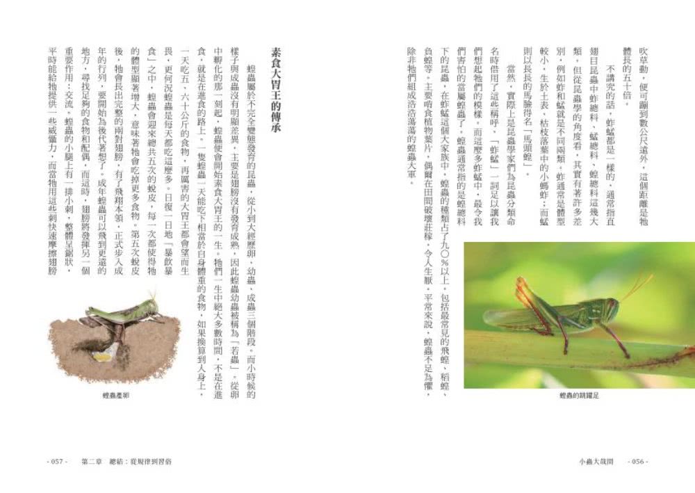 小蟲大哉問：自然生態的科學探察與人文思考