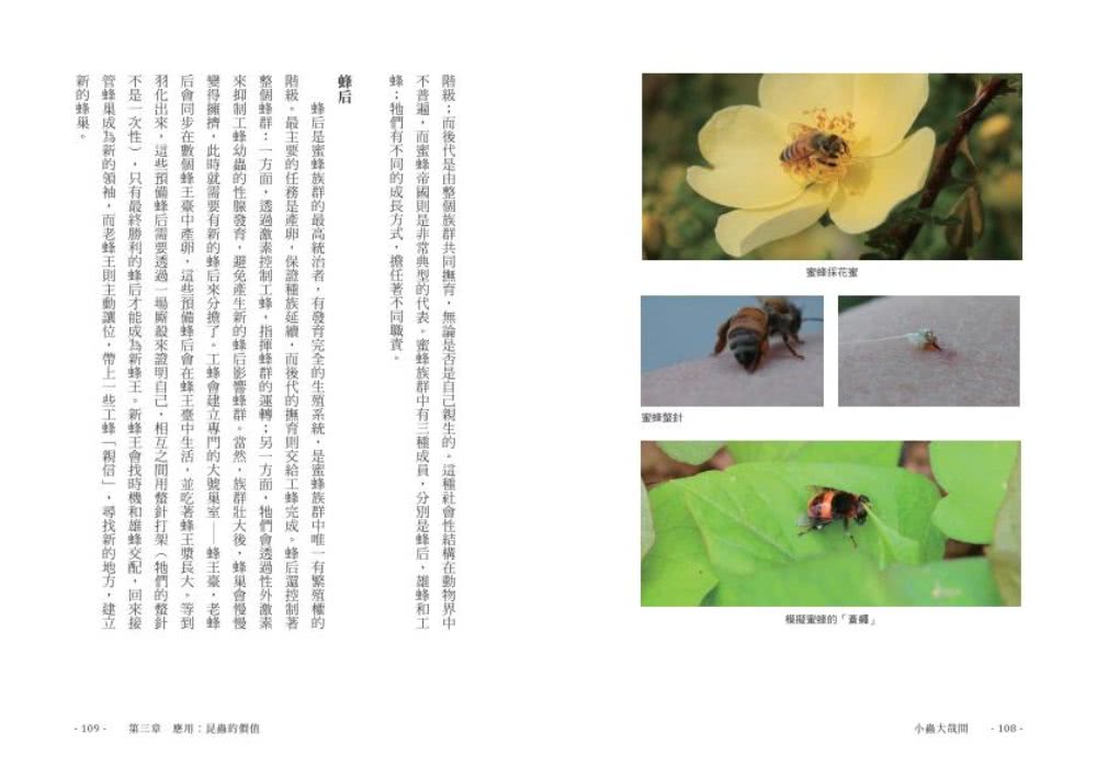 小蟲大哉問：自然生態的科學探察與人文思考