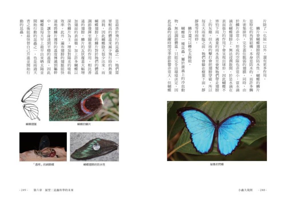 小蟲大哉問：自然生態的科學探察與人文思考