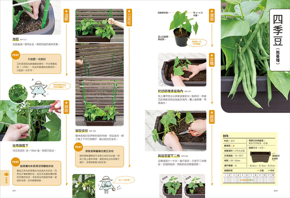 好種易活！盆栽種菜全圖解：無農藥、安心吃！全年栽種時程表X 55種蔬菜培育祕訣 新手也能四季都豐收