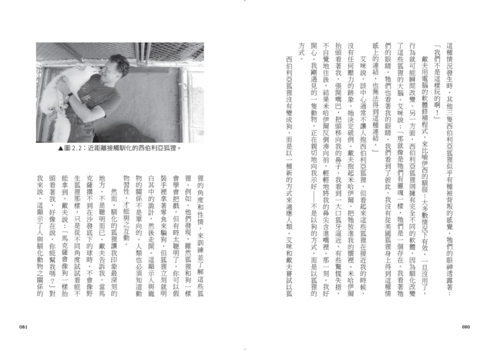 可愛無法擋！：卡哇伊文化如何連結我們的大腦並征服全世界