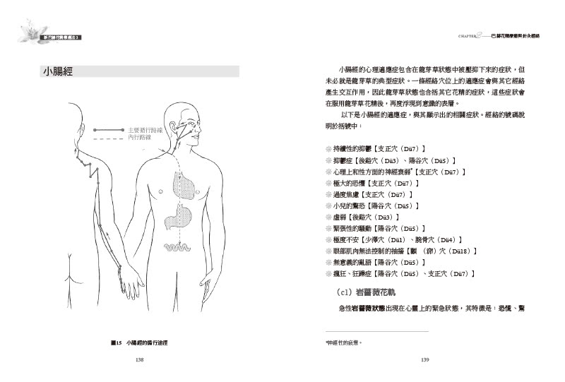 新巴赫花精療法3：花軌、針灸經絡與兒童治療